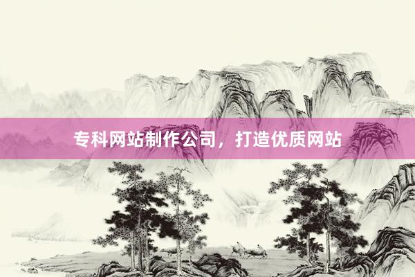 专科网站制作公司，打造优质网站